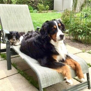 Meet your Posher, Anne-marie